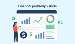Finanční přehledy v iÚčtu